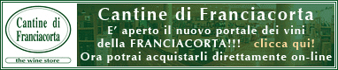 CANTINE DI FRANCIACORTA The Wine Store